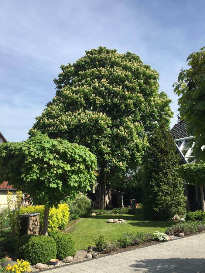 Villa Auszeit - Achtung Buchung nur für vollstaendig Geimpfte - Hohen Neuendorf Exterior foto